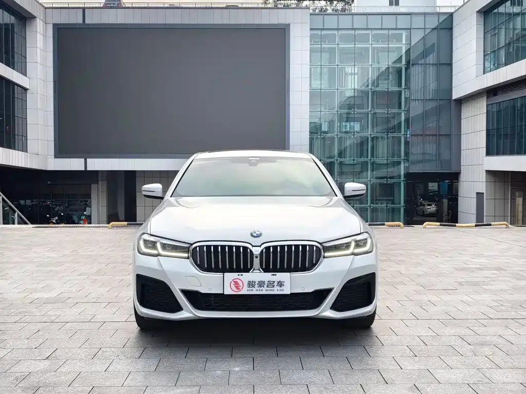 BMW 5 Series 2023 из CN, фото 4