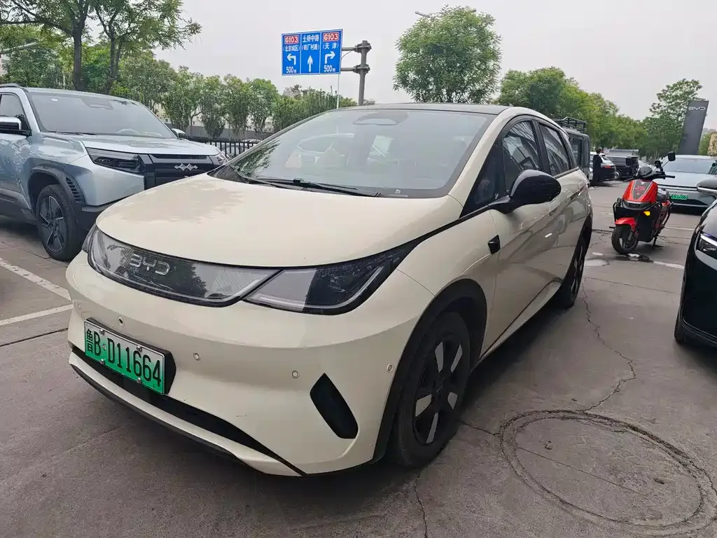 BYD Dolphin 2025 из CN, фото 1