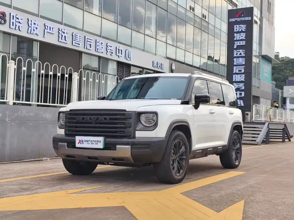 Haval Menglong New Energy 2024 из CN, фото 1