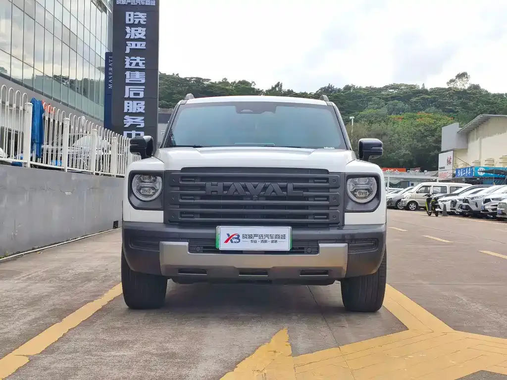 Haval Menglong New Energy 2024 из CN, фото 9