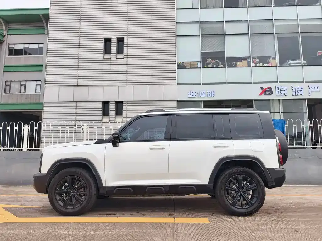 Haval Menglong New Energy 2024 из CN, фото 8
