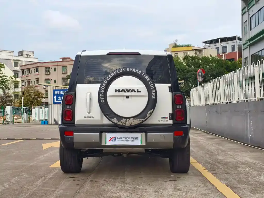Haval Menglong New Energy 2024 из CN, фото 3