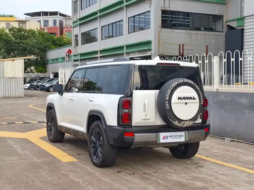 Haval Menglong New Energy 2024 из CN, фото 5