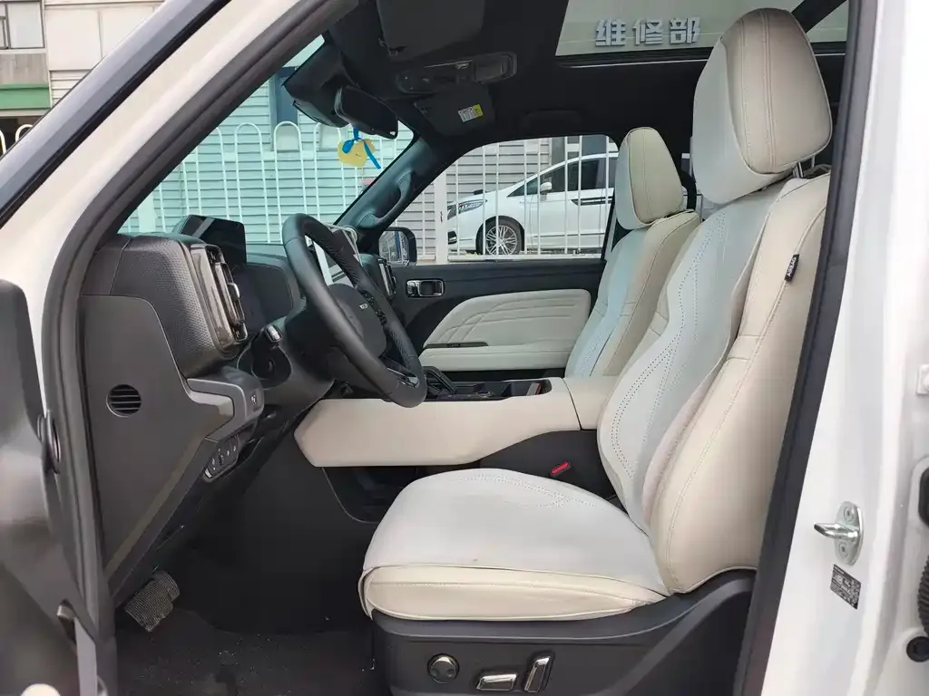 Haval Menglong New Energy 2024 из CN, фото 6