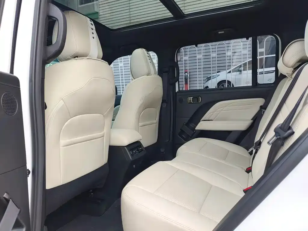 Haval Menglong New Energy 2024 из CN, фото 4