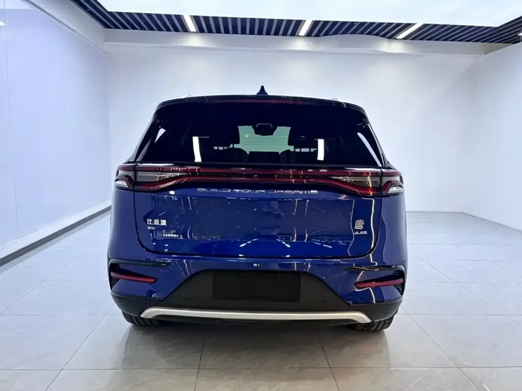 BYD Tang New Energy 2022 из CN, фото 9