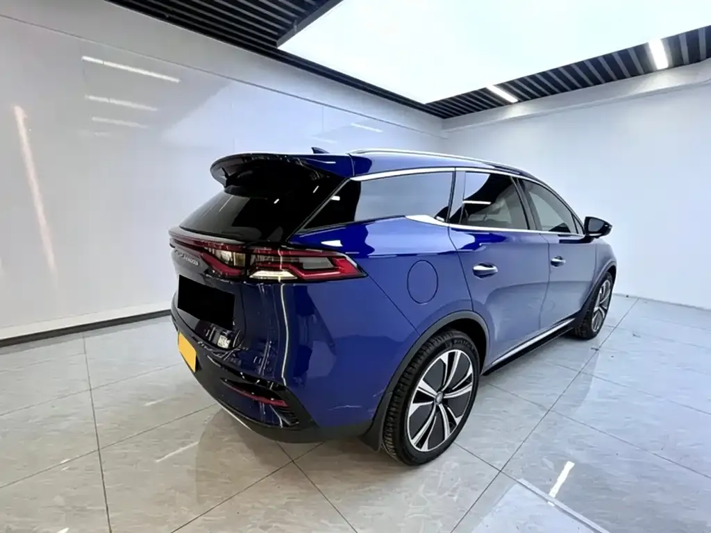 BYD Tang New Energy 2022 из CN, фото 5