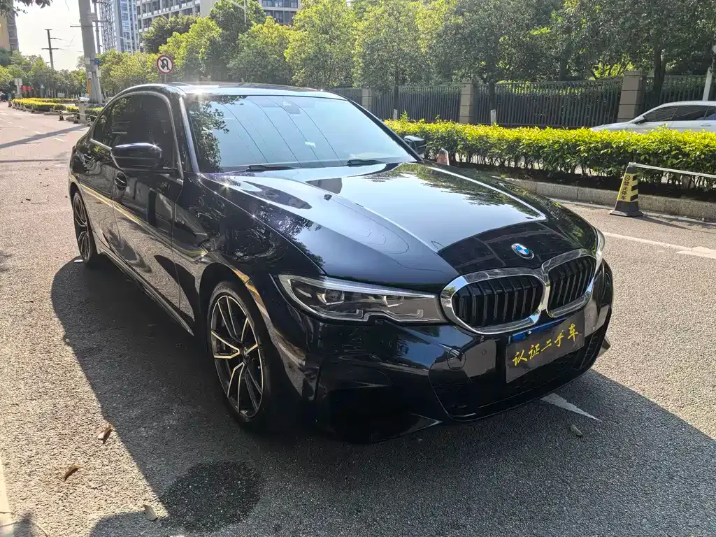 BMW 3 Series 2022 из CN, фото 8