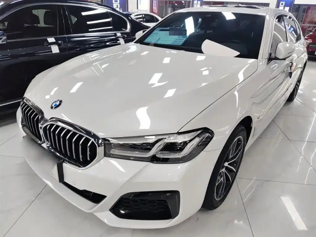 BMW 5 Series 2024 из CN, фото 4