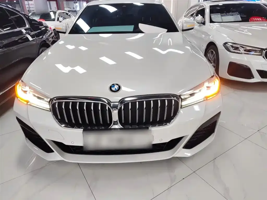 BMW 5 Series 2024 из CN, фото 10