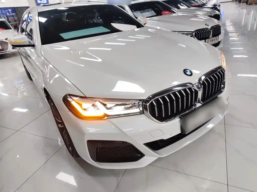 BMW 5 Series 2024 из CN, фото 9