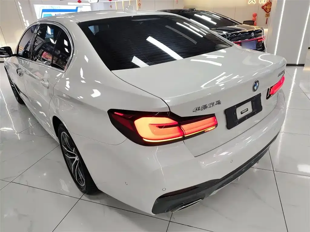 BMW 5 Series 2024 из CN, фото 8