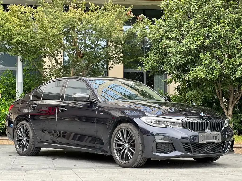 BMW 3 Series 2021 из CN, фото 10