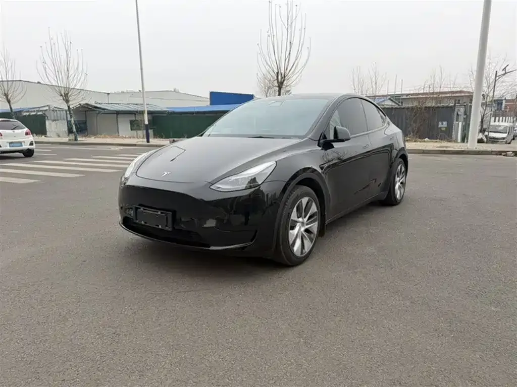 Tesla Model Y — фото 6