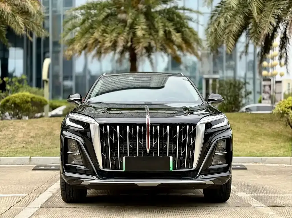 Hongqi HS3 PHEV 2025 из CN, фото 6