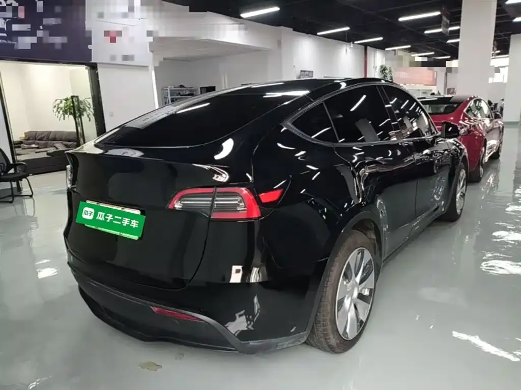 Tesla Model Y — фото 9