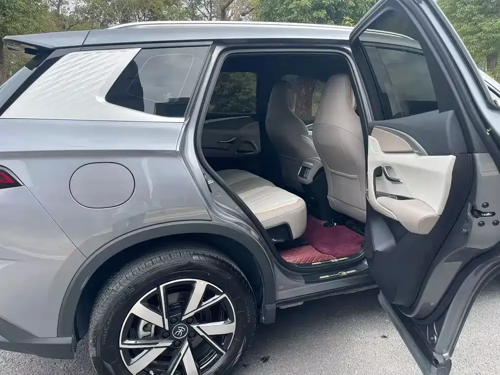 BYD Pro New Energy — фото 6