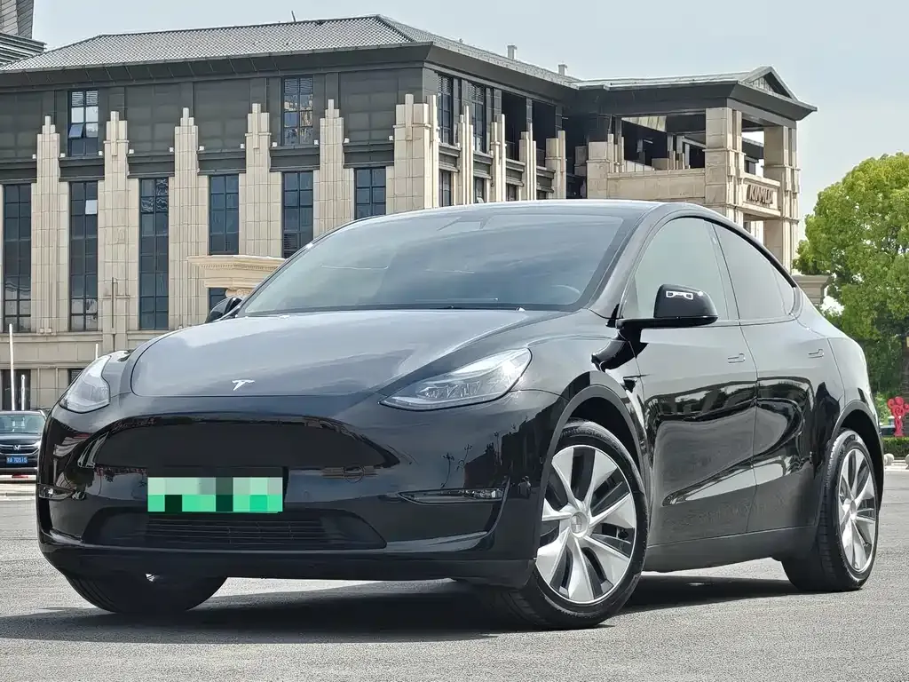 Tesla Model Y 2021 из CN, фото 1