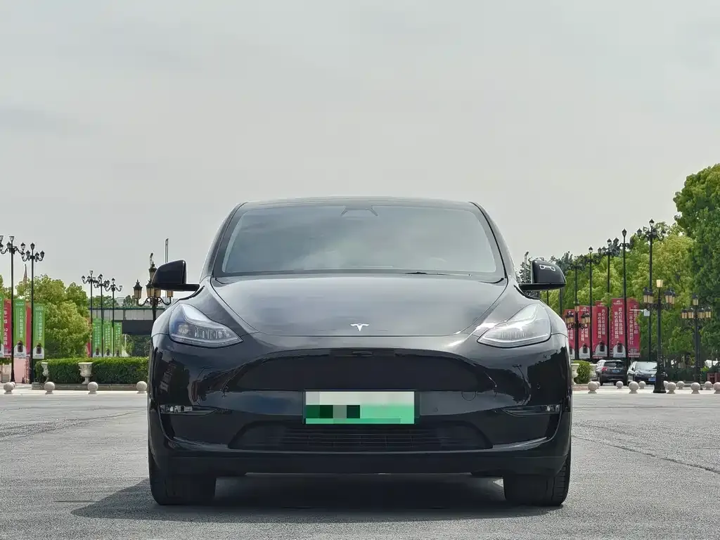 Tesla Model Y 2021 из CN, фото 7