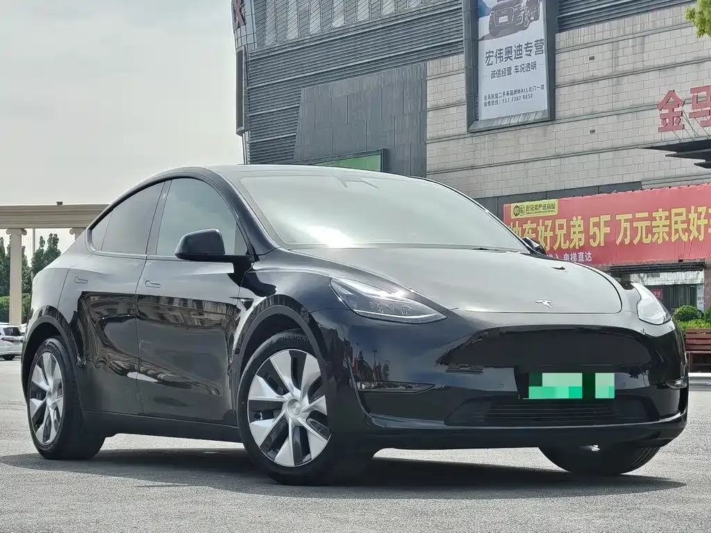 Tesla Model Y 2021 из CN, фото 9