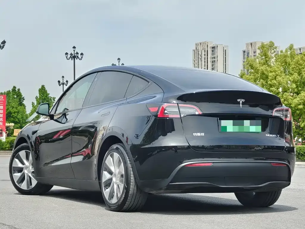 Tesla Model Y 2021 из CN, фото 6