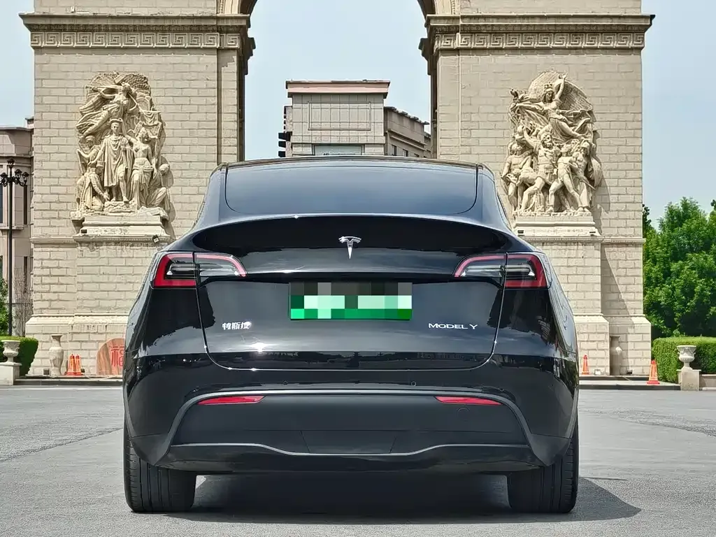 Tesla Model Y 2021 из CN, фото 4