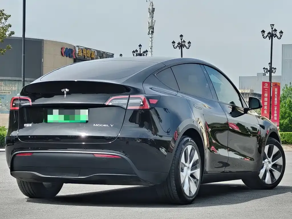 Tesla Model Y 2021 из CN, фото 3