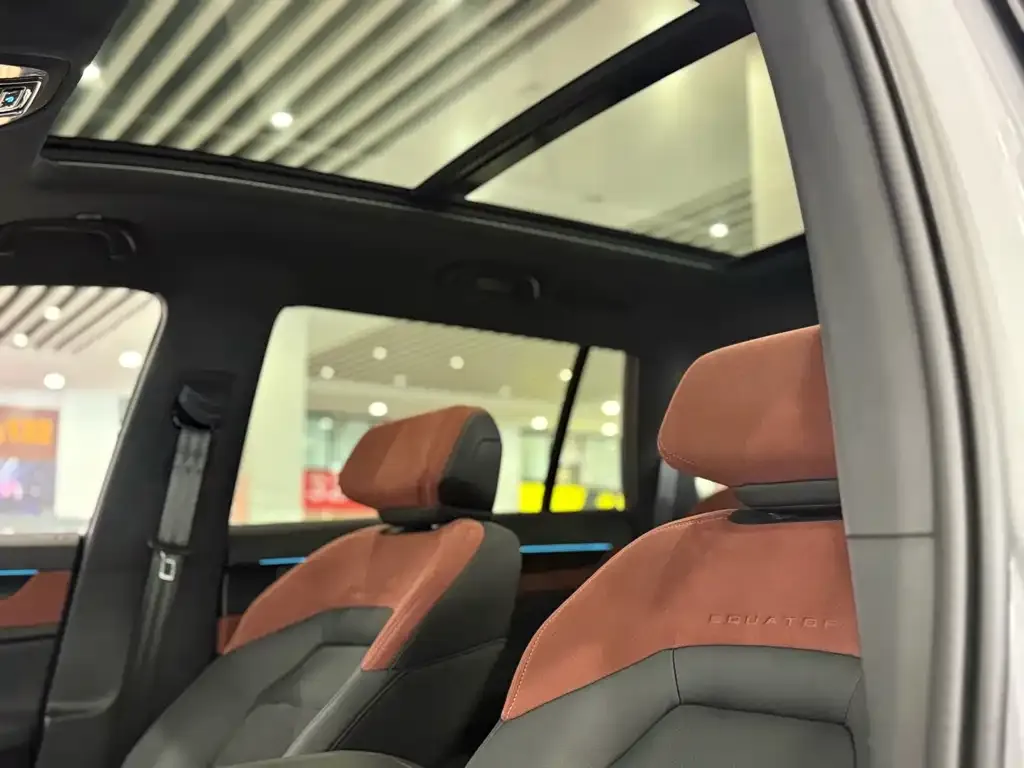 Ford Lingyu New Energy 2024 из CN, фото 2