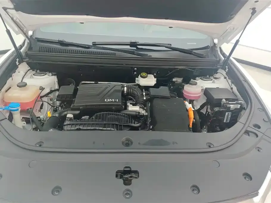 BYD Pro New Energy — фото 2