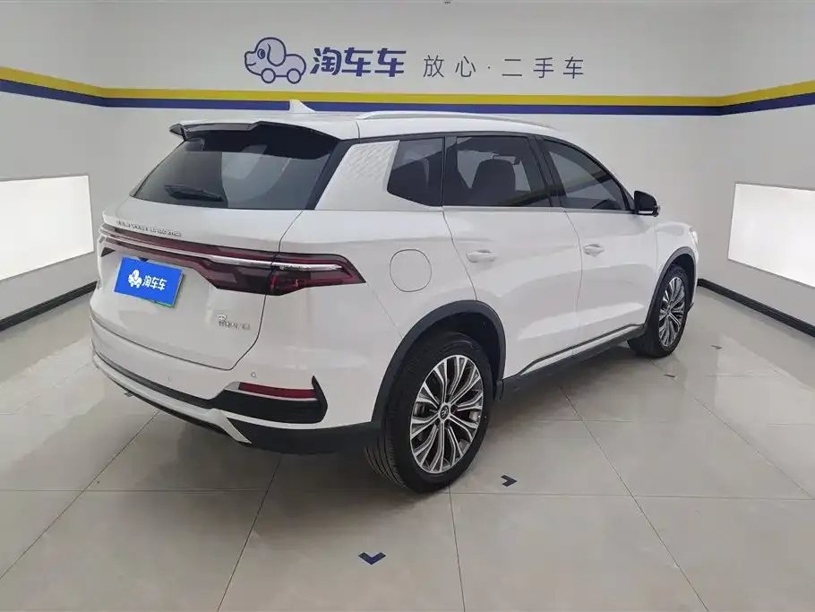 BYD Pro New Energy — фото 4