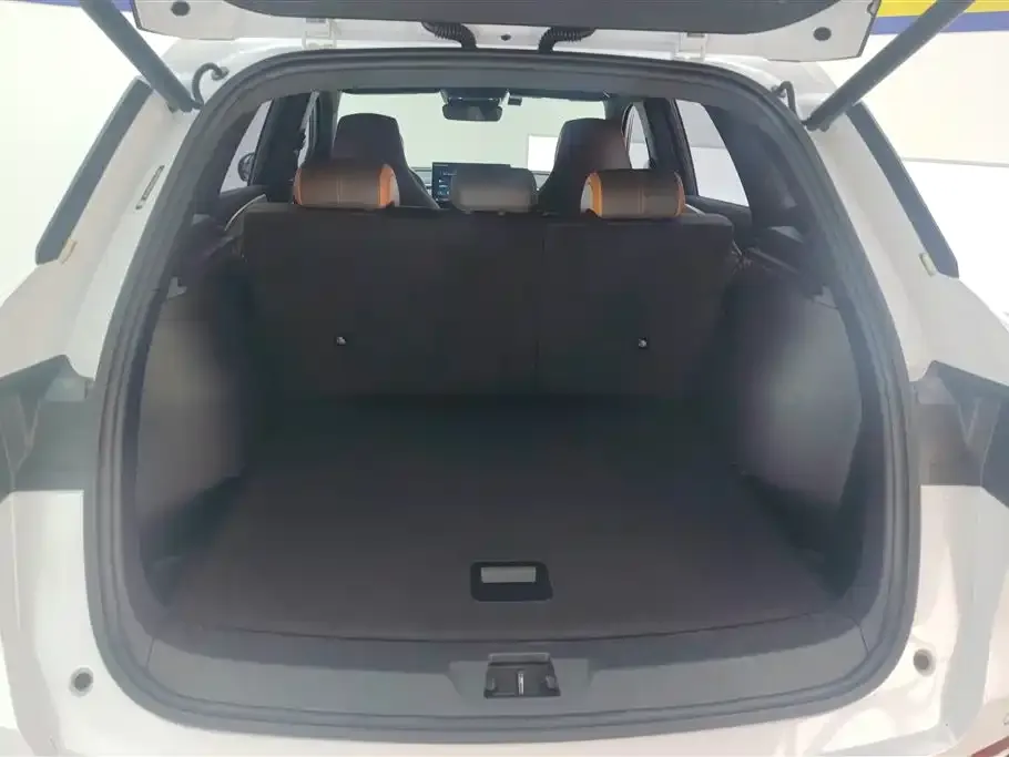 BYD Pro New Energy — фото 5