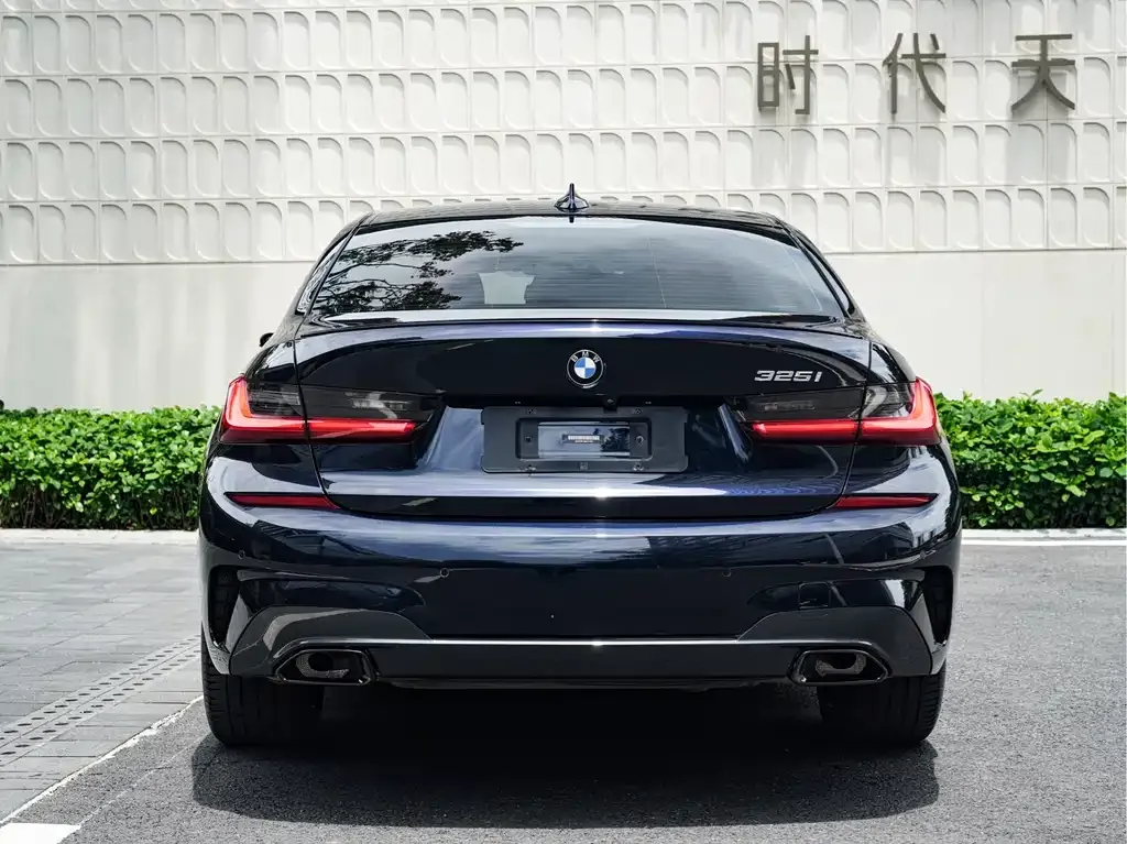 BMW 3 Series 2021 из CN, фото 4