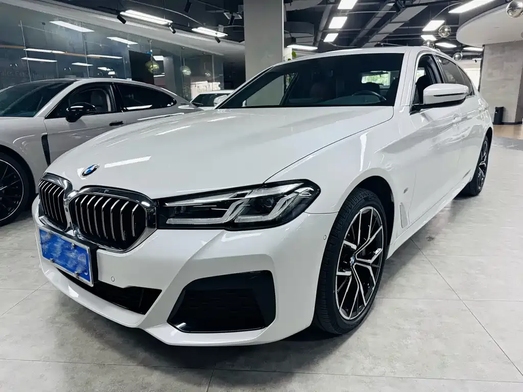 BMW 5 Series 2022 из CN, фото 1