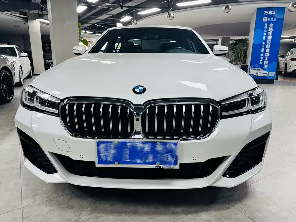 BMW 5 Series 2022 из CN, фото 2