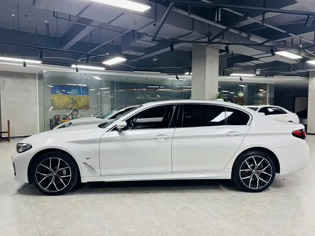 BMW 5 Series 2022 из CN, фото 3