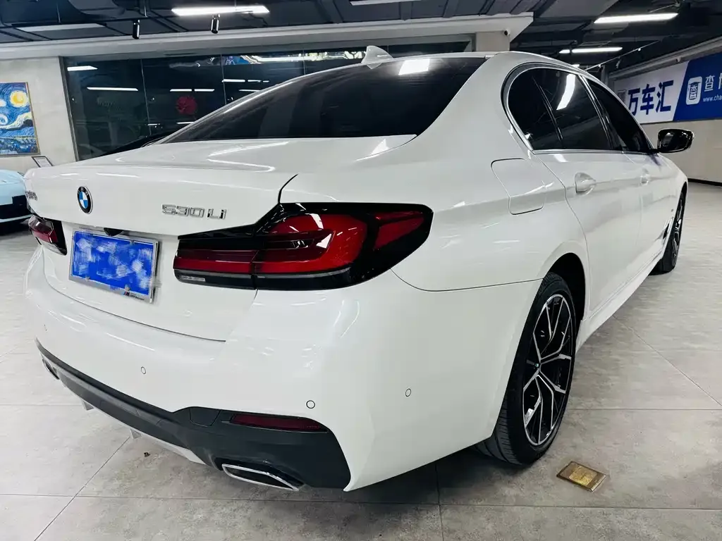 BMW 5 Series 2022 из CN, фото 9