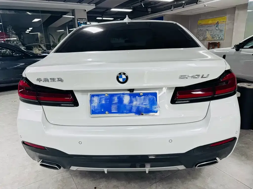 BMW 5 Series 2022 из CN, фото 4