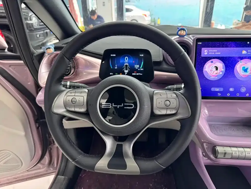 BYD Dolphin 2024 из CN, фото 3