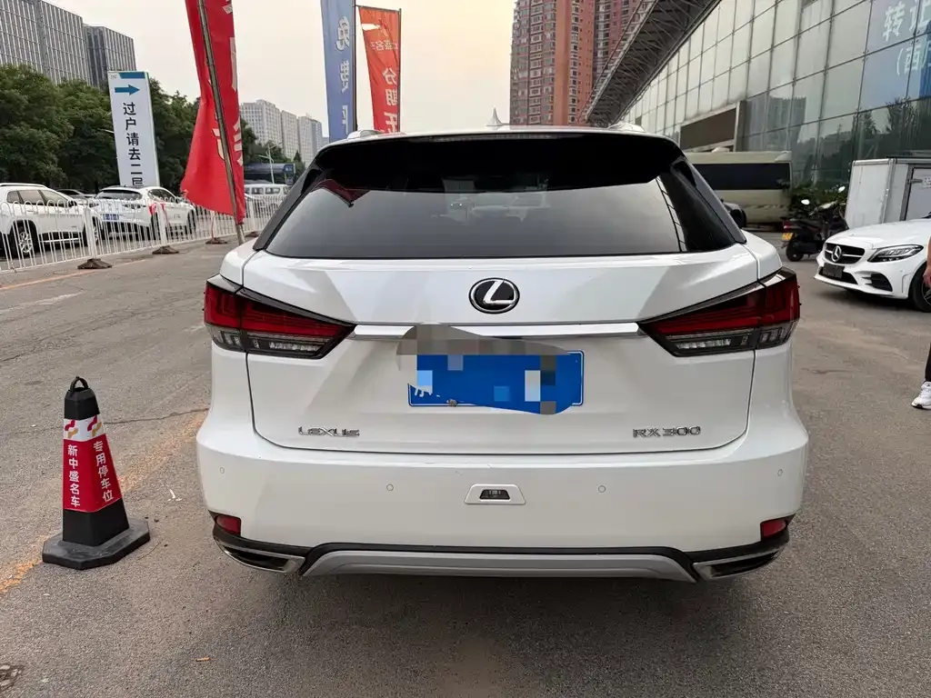 Lexus RX 2022 из CN, фото 9
