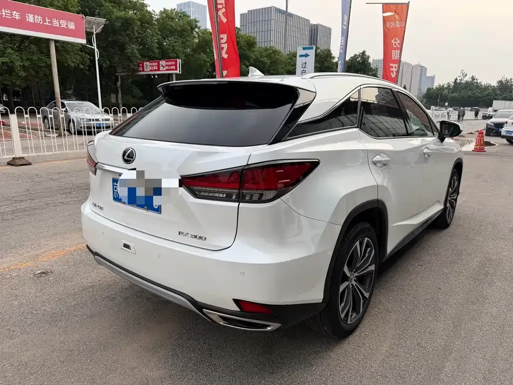 Lexus RX 2022 из CN, фото 10