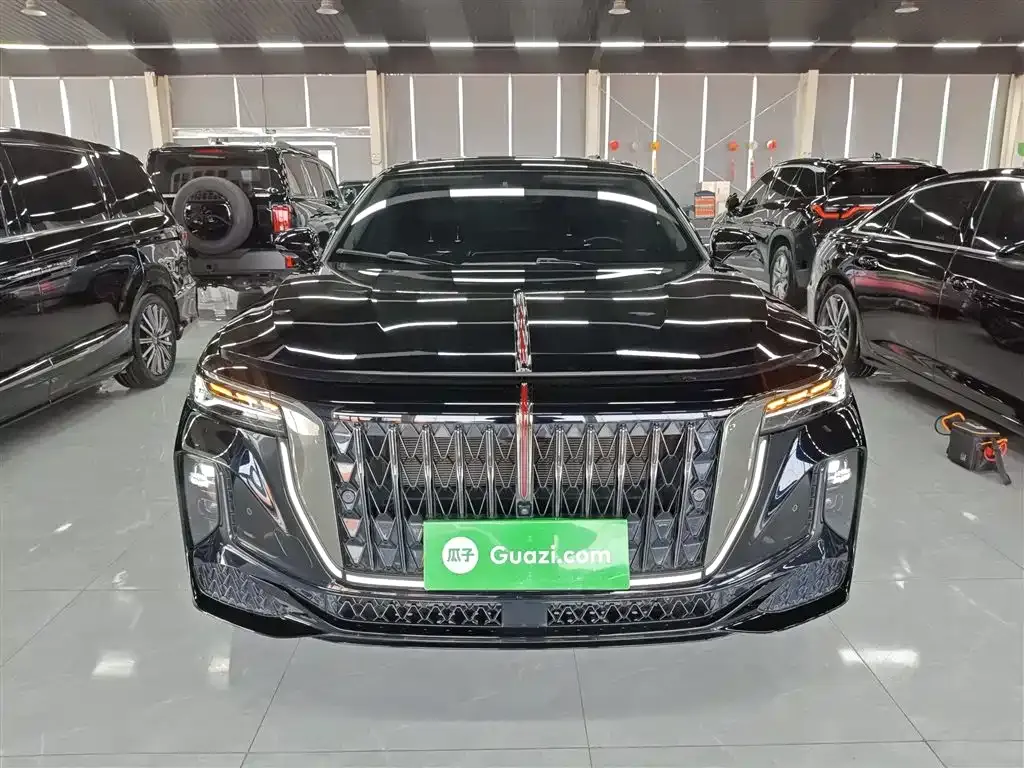 Hongqi H9 2024 из CN, фото 4