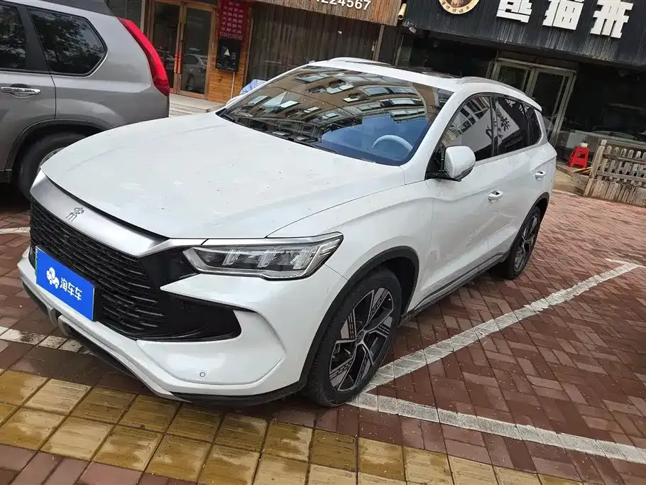 BYD Pro New Energy 2024 из CN, фото 1