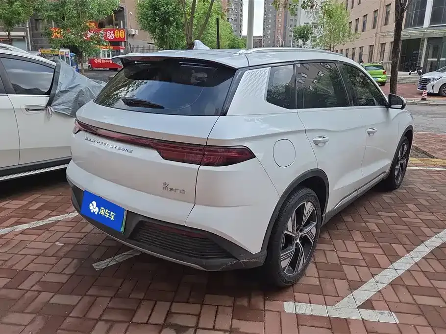 BYD Pro New Energy 2024 из CN, фото 7