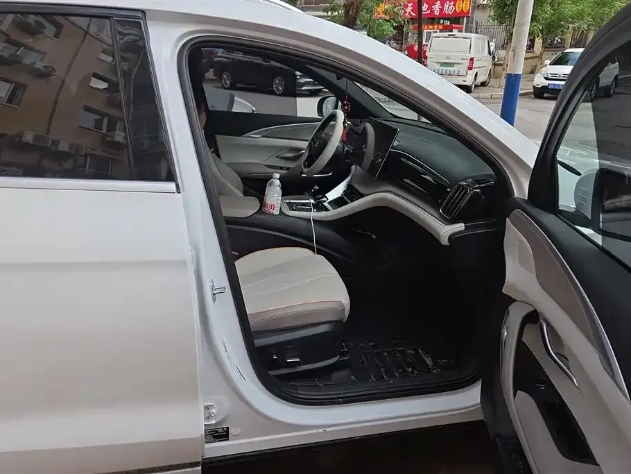 BYD Pro New Energy 2024 из CN, фото 8