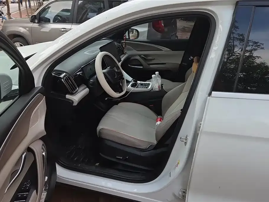 BYD Pro New Energy 2024 из CN, фото 2