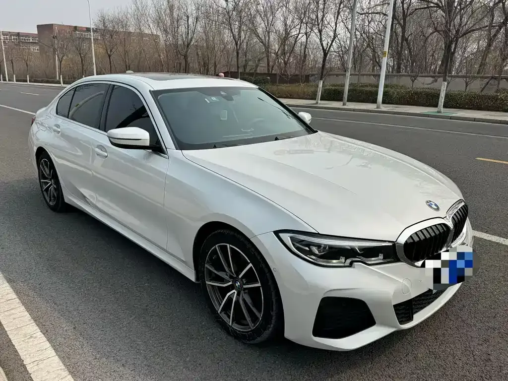 BMW 3 Series 2021 из CN, фото 6
