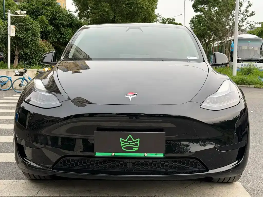 Tesla Model Y 2024 из CN, фото 7