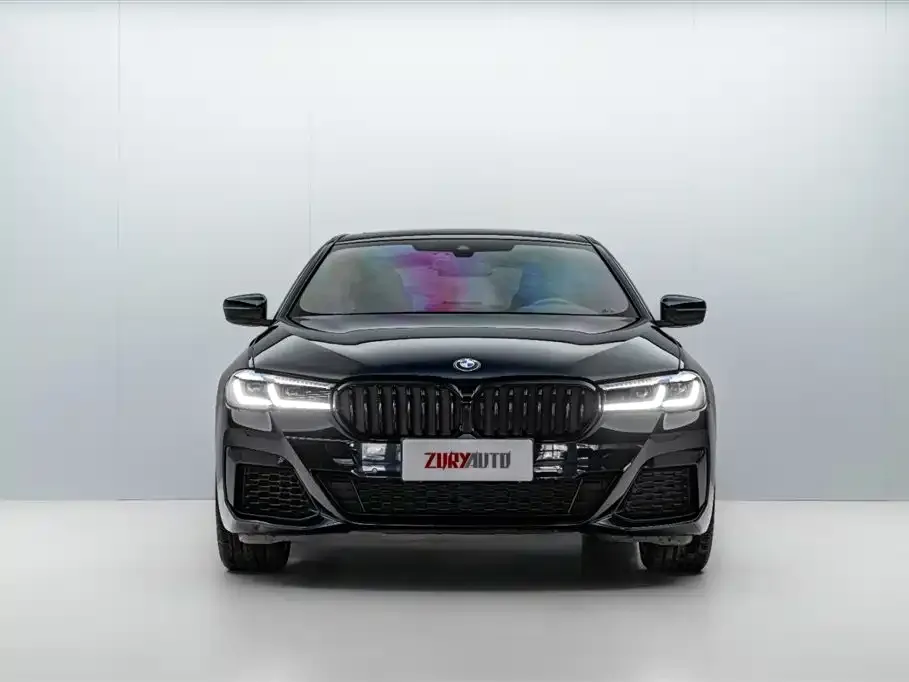BMW 5 Series (Import) 2021 из CN, фото 10