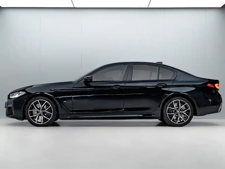 BMW 5 Series (Import) 2021 из CN, фото 9