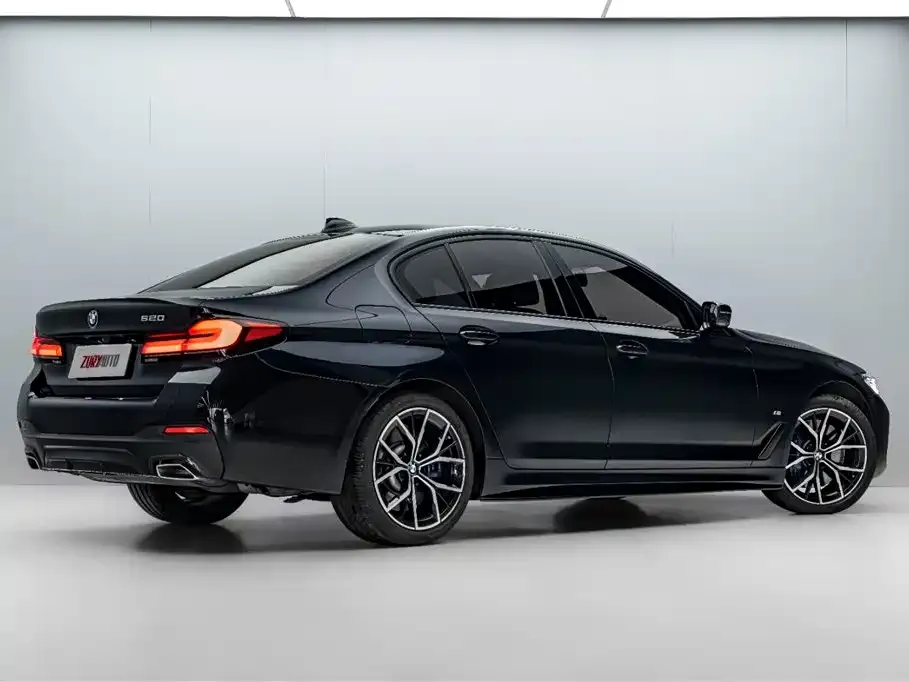 BMW 5 Series (Import) 2021 из CN, фото 5